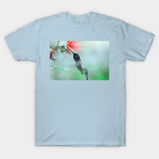 Thirsty HummingBird T-Shirt